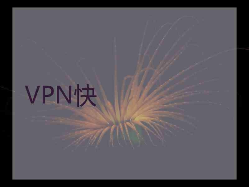 VPN快