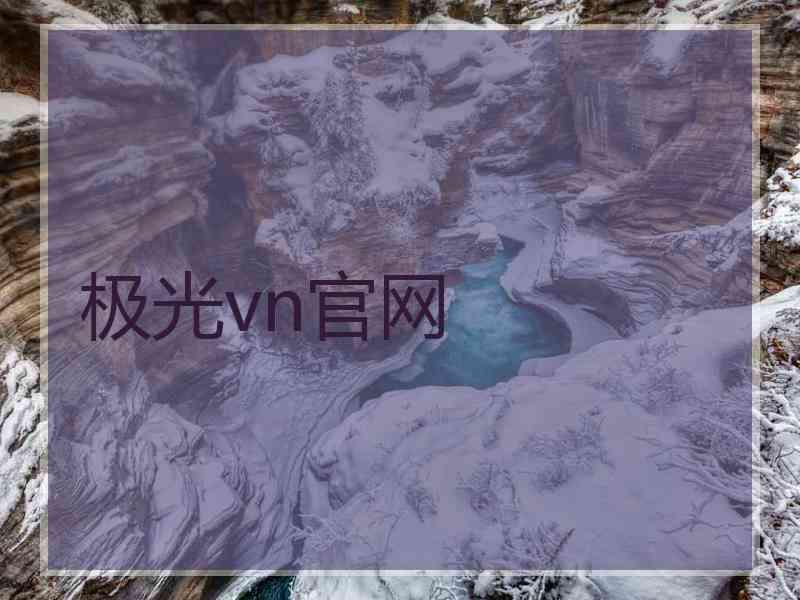 极光vn官网