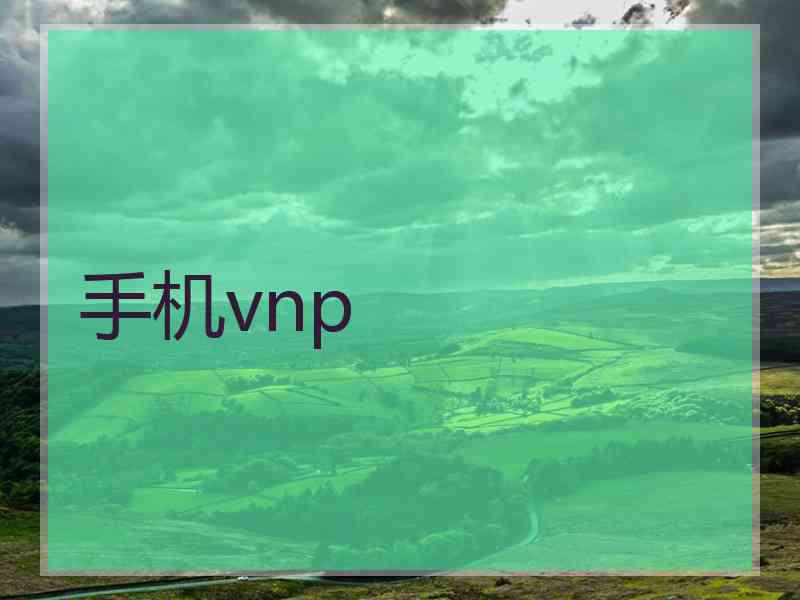 手机vnp