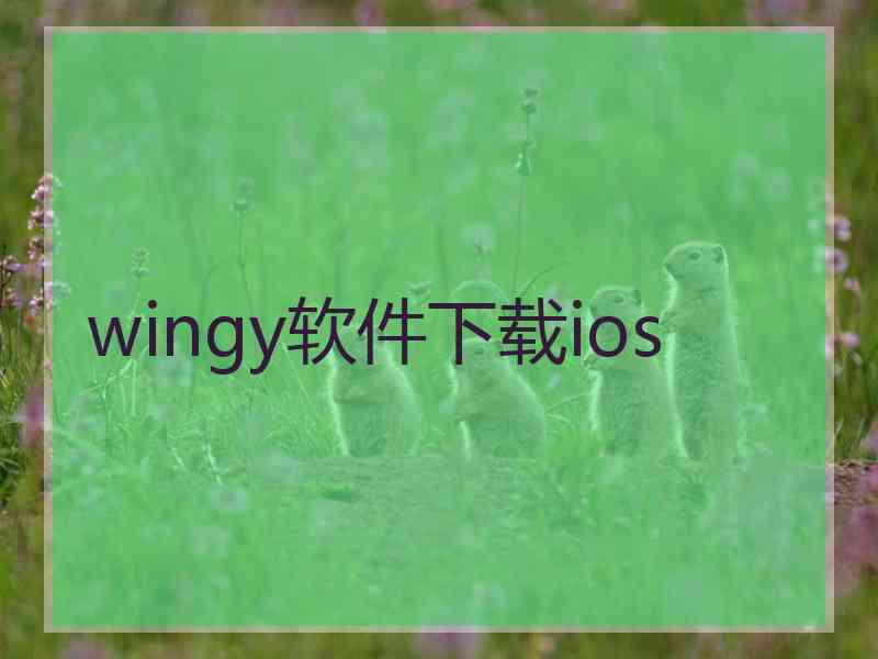 wingy软件下载ios