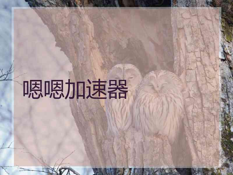 嗯嗯加速器
