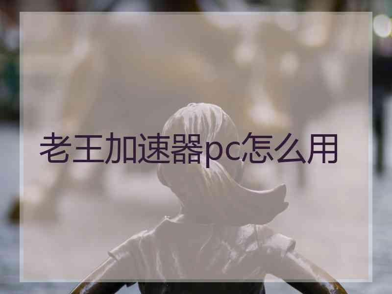 老王加速器pc怎么用