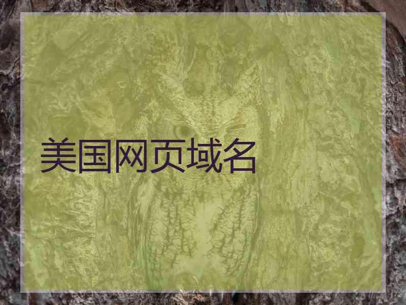 美国网页域名