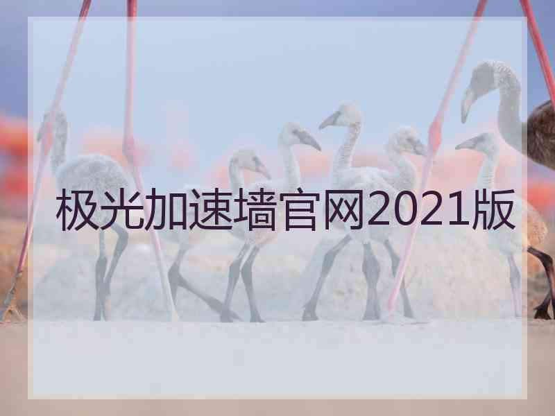 极光加速墙官网2021版