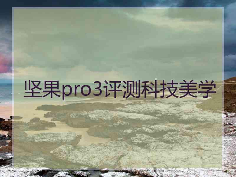 坚果pro3评测科技美学