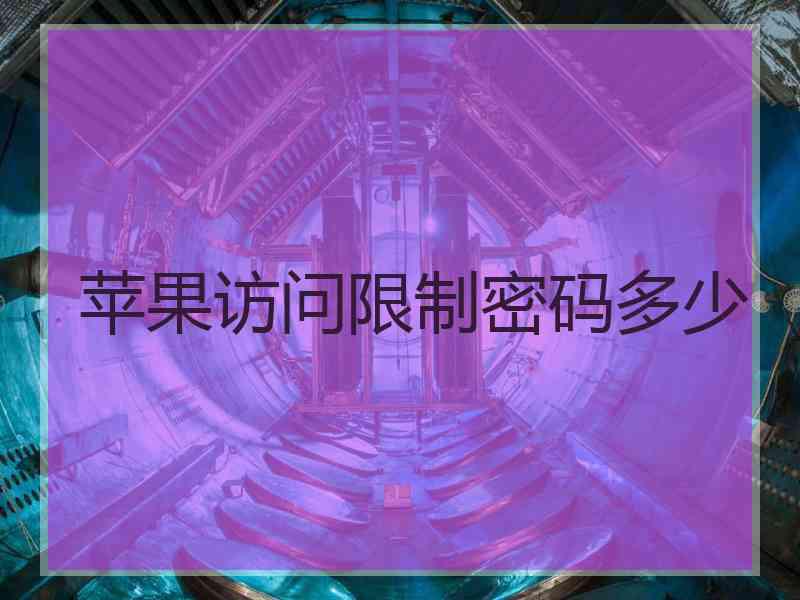 苹果访问限制密码多少