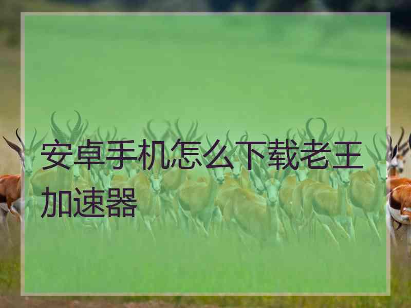 安卓手机怎么下载老王加速器