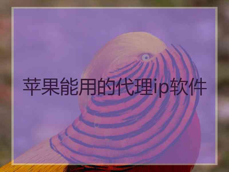 苹果能用的代理ip软件