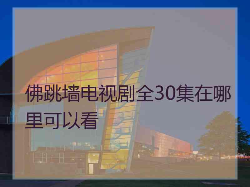 佛跳墙电视剧全30集在哪里可以看