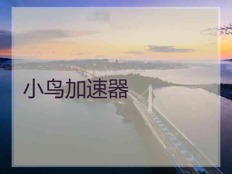 小鸟加速器