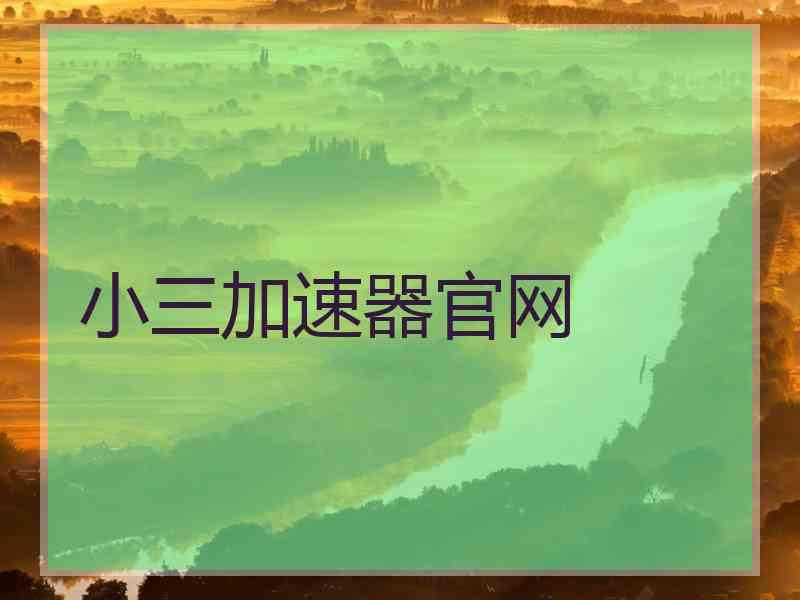 小三加速器官网