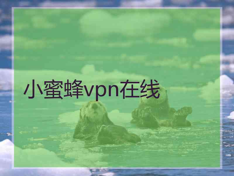 小蜜蜂vpn在线