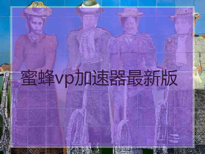 蜜蜂vp加速器最新版