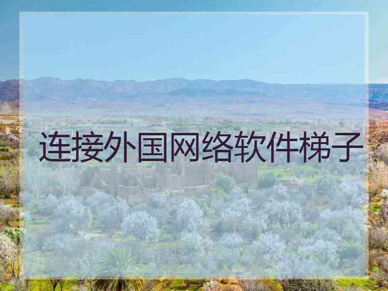 连接外国网络软件梯子