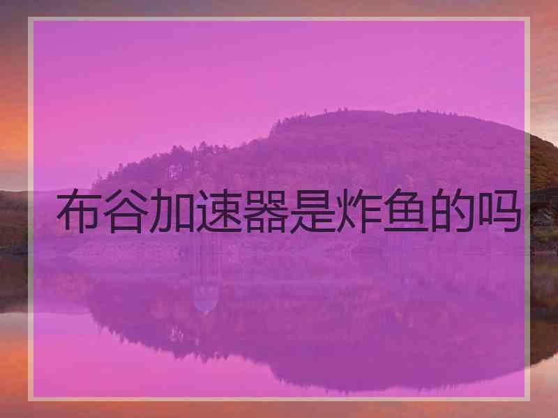布谷加速器是炸鱼的吗