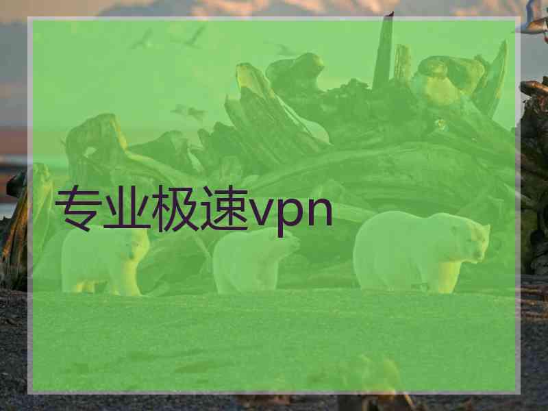 专业极速vpn