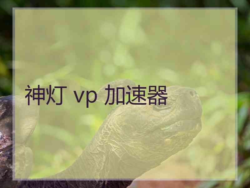 神灯 vp 加速器