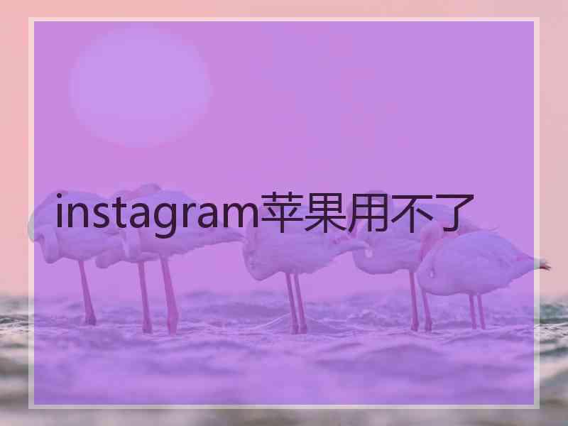 instagram苹果用不了