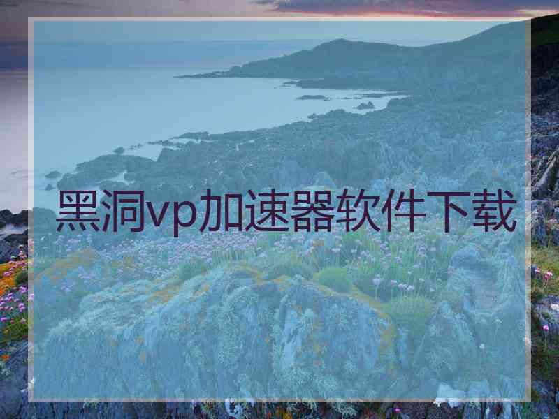 黑洞vp加速器软件下载