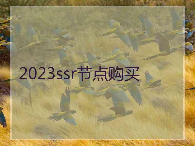 2023ssr节点购买