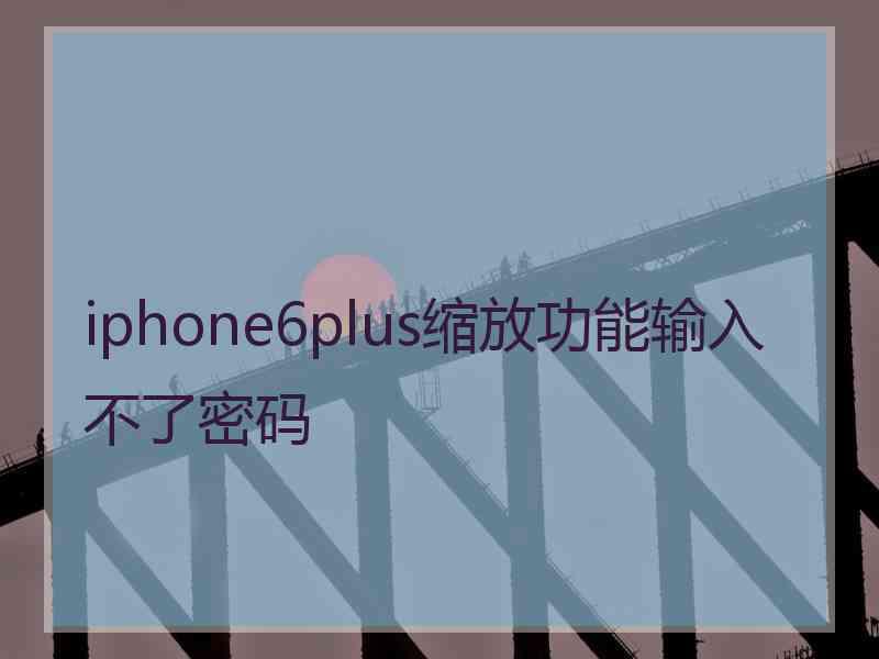 iphone6plus缩放功能输入不了密码