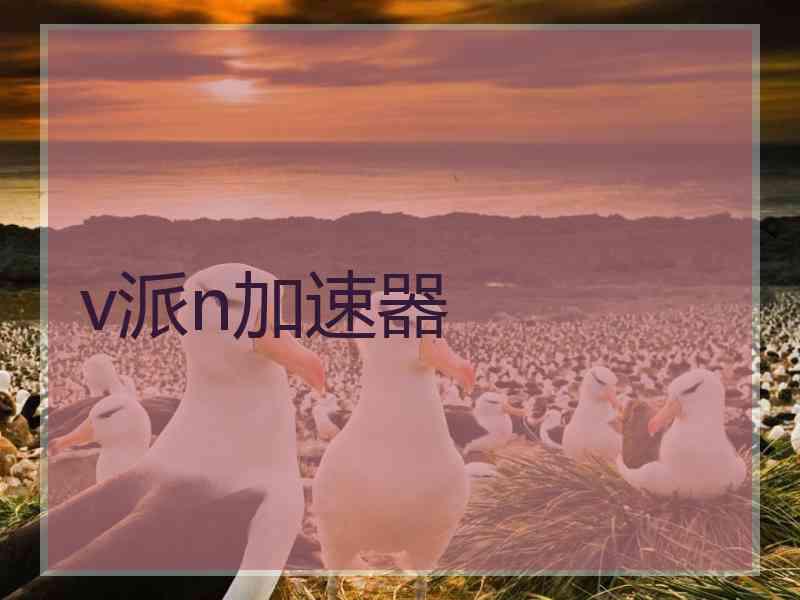 v派n加速器