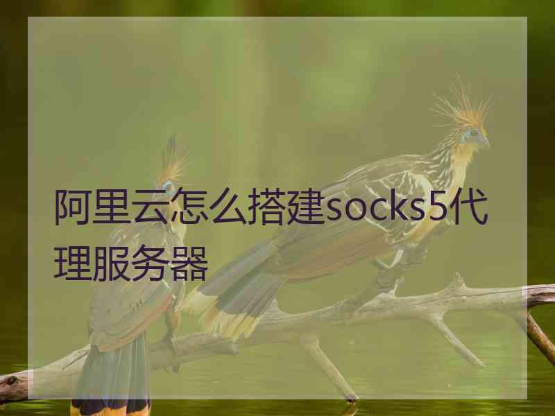 阿里云怎么搭建socks5代理服务器