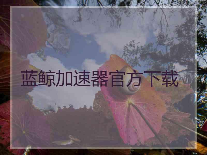 蓝鲸加速器官方下载