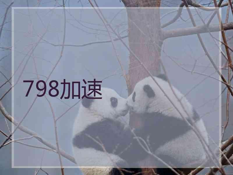 798加速