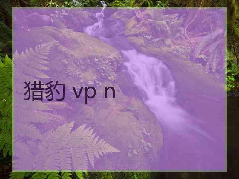 猎豹 vp n
