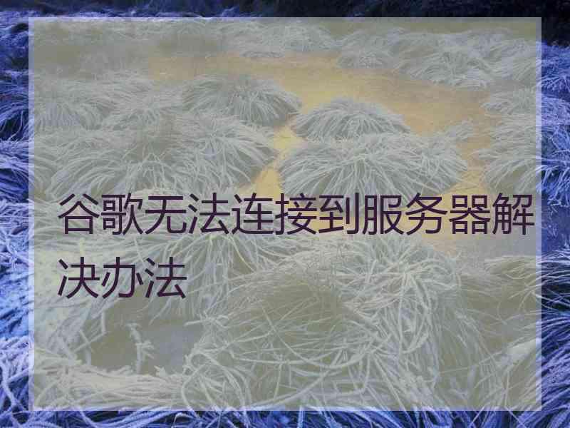 谷歌无法连接到服务器解决办法