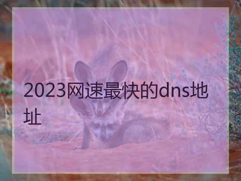 2023网速最快的dns地址