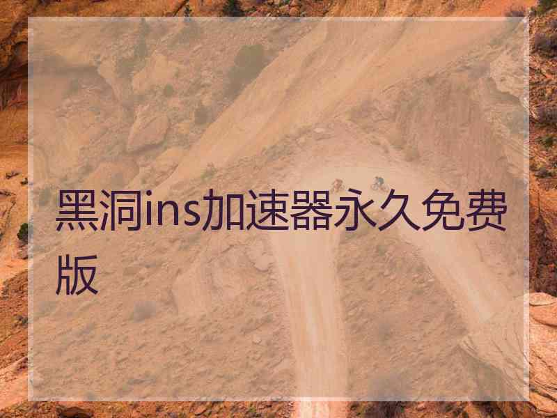 黑洞ins加速器永久免费版