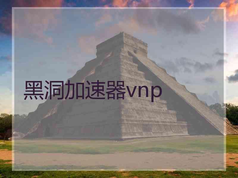 黑洞加速器vnp