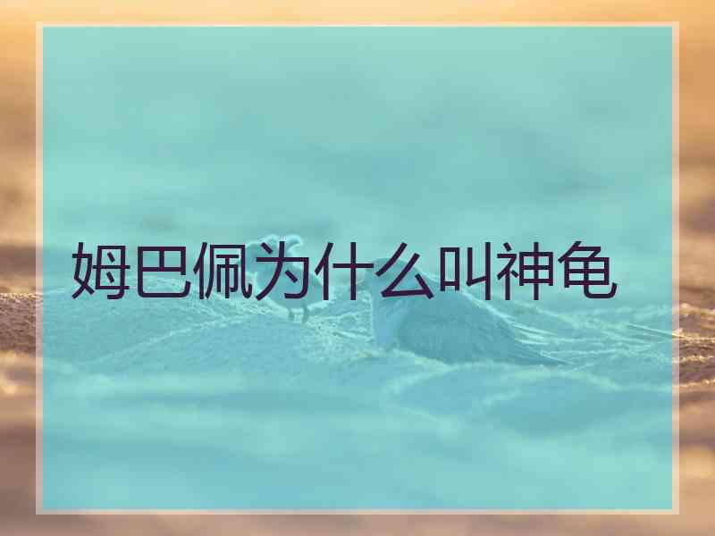 姆巴佩为什么叫神龟