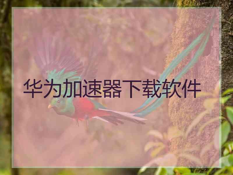 华为加速器下载软件