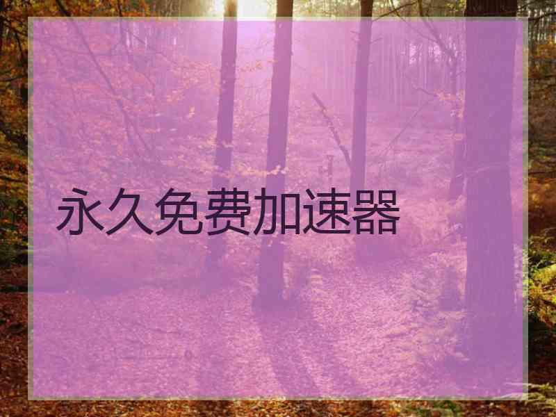 永久免费加速器