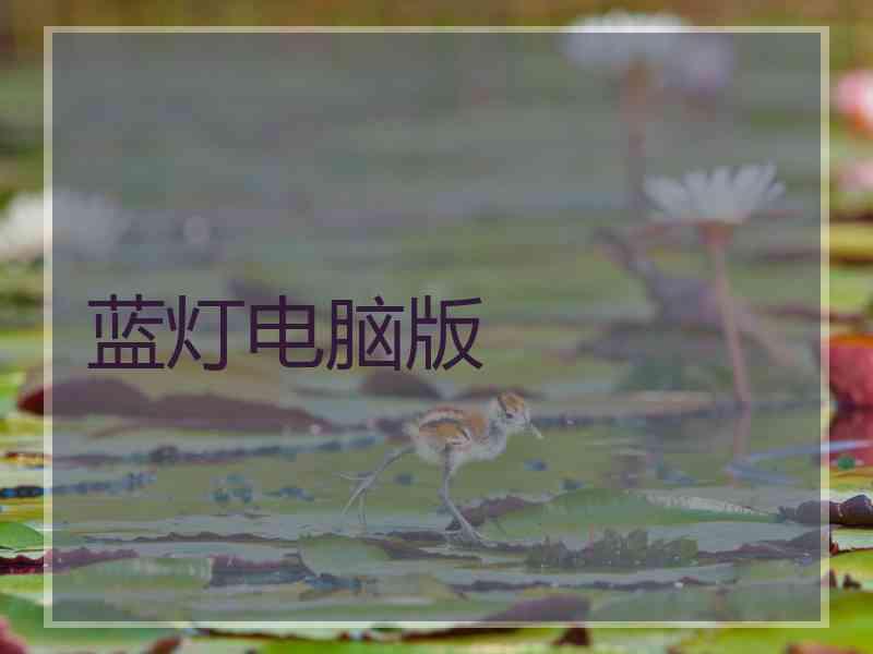 蓝灯电脑版