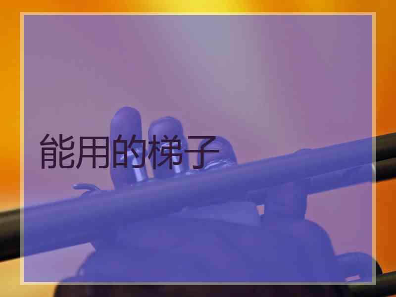 能用的梯子