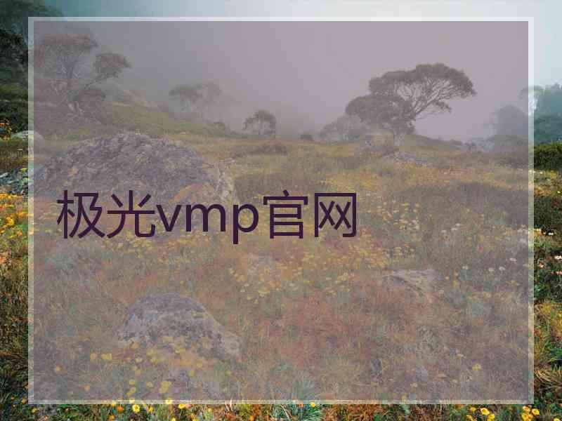 极光vmp官网