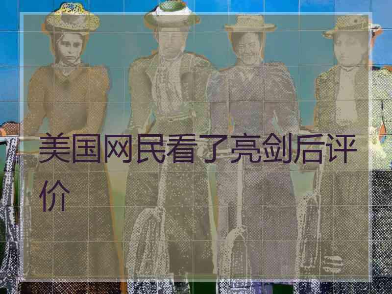 美国网民看了亮剑后评价
