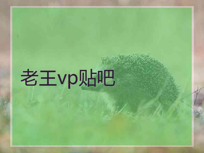 老王vp贴吧