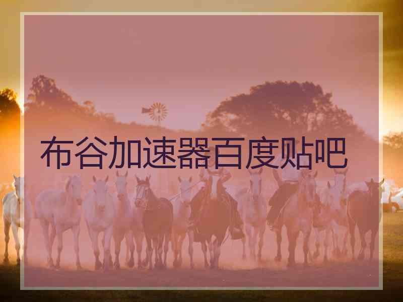 布谷加速器百度贴吧