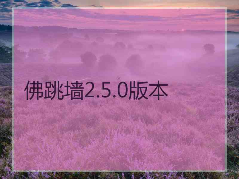 佛跳墙2.5.0版本