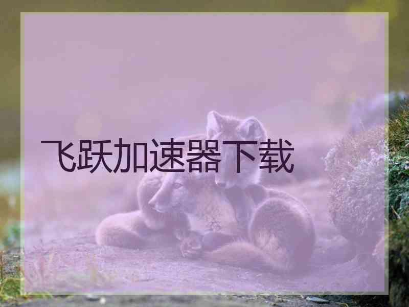 飞跃加速器下载