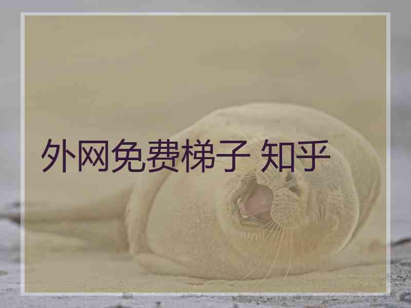 外网免费梯子 知乎