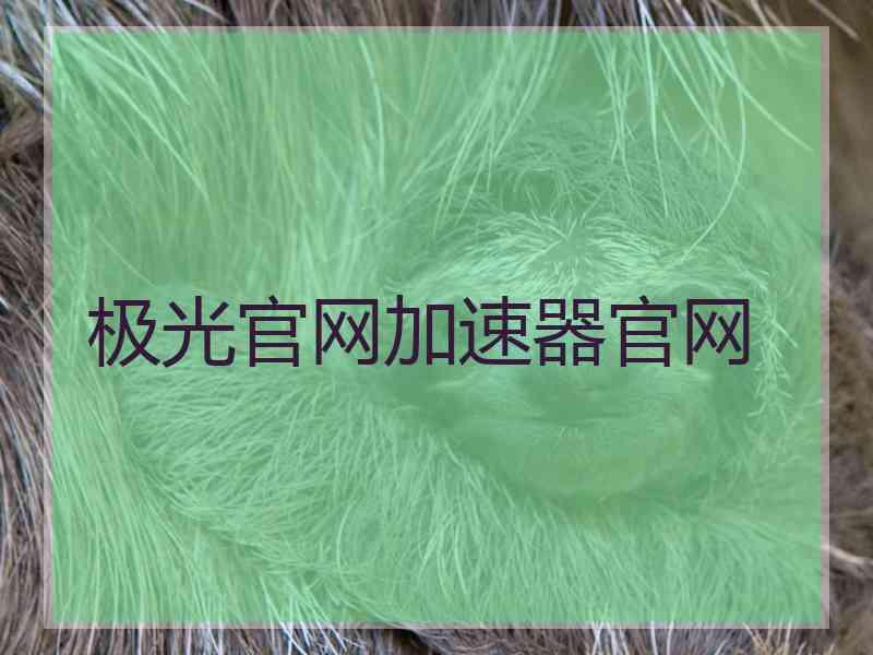 极光官网加速器官网