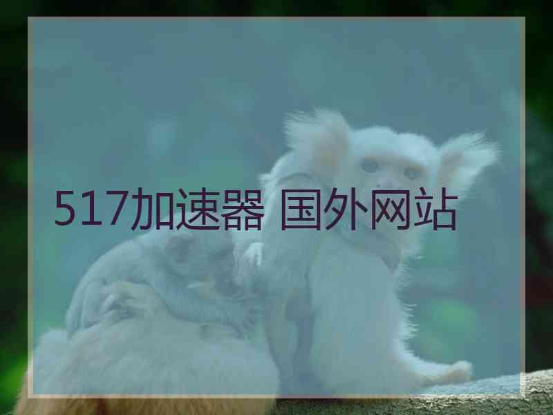 517加速器 国外网站