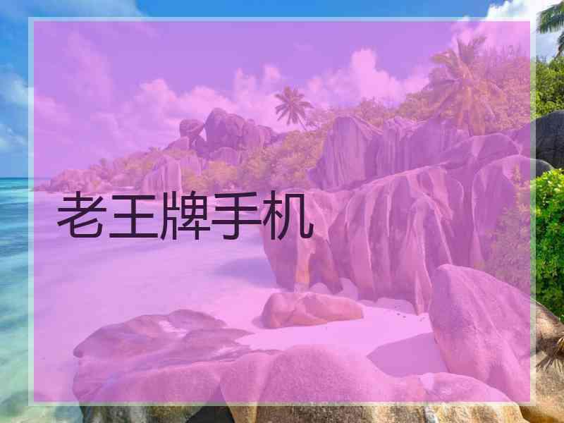 老王牌手机