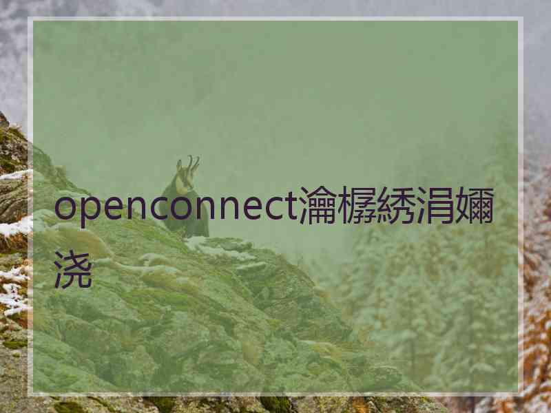 openconnect瀹樼綉涓嬭浇